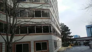 Gold Rhino – ADU Contractor in McLean, VA